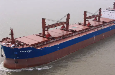 未來幾年散貨船市場(chǎng)走勢(shì)如何？依據(jù)哪些因素？