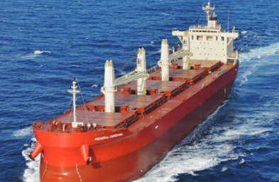 氨動(dòng)力散貨船你了解嗎？其有何特點(diǎn)？