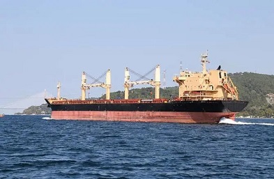 貨代船公司：讓貿易無限暢通的橋梁