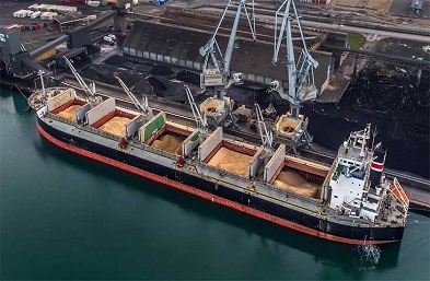 散貨船在國(guó)際貿(mào)易和海洋運(yùn)輸領(lǐng)域具有重要的作用