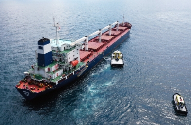 散雜船海運(yùn)以其靈活性和承載能力重塑物流行業(yè)的版圖