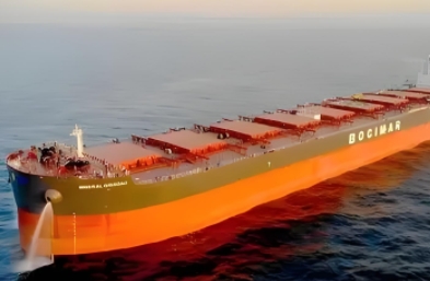 大型散貨船以龐大的身軀和高效的運輸能力，成為了海上運輸?shù)闹匾α?></div>
							<div   id=