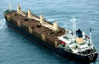 散雜船的特點、類型及其在全球貿(mào)易中的重要性