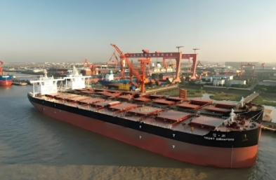 散雜船因其獨(dú)特的優(yōu)勢和廣泛的適用性，在海運(yùn)市場中占據(jù)了重要地位