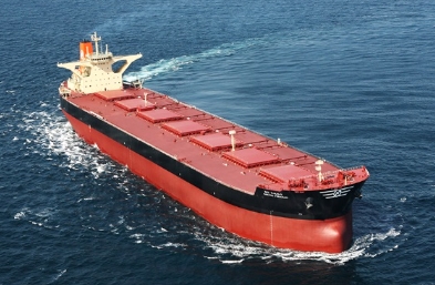 深入分析散貨船行業(yè)的現(xiàn)狀，并探討其未來(lái)的發(fā)展方向