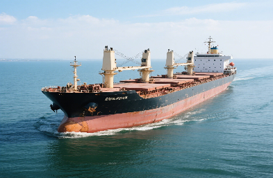 揭秘：散貨船海運的奧秘與挑戰(zhàn)！