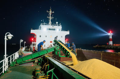 專(zhuān)業(yè)散雜船貨代?覆蓋多港口?全程合規(guī)安全送達(dá)